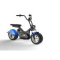 Wholesale Removable Battery Mobility Electric Bicycle